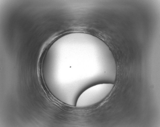 X0000066090294200603101010