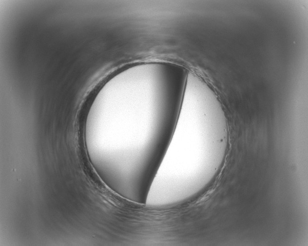 X0000066090295200603101010