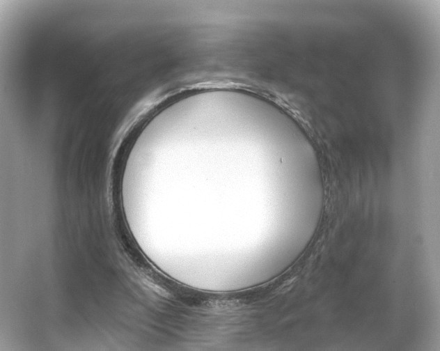 X0000066090296200603101010