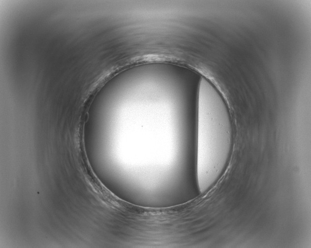 X0000066090297200603101010