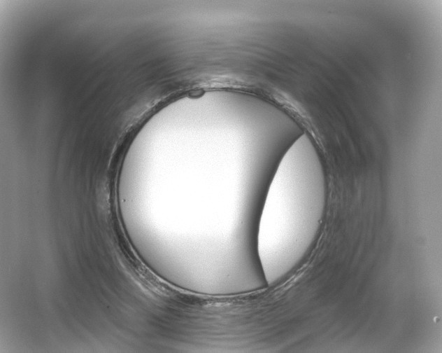 X0000066090298200603101010