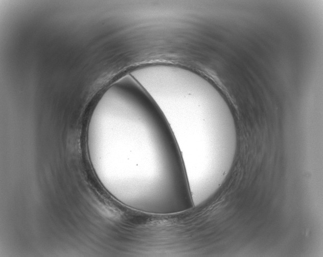 X0000066090299200603101010