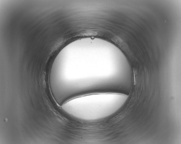 X0000066090300200603101010