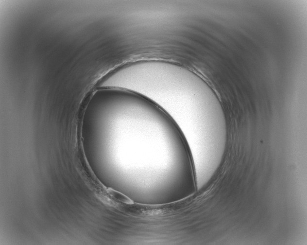 X0000066090301200603101010