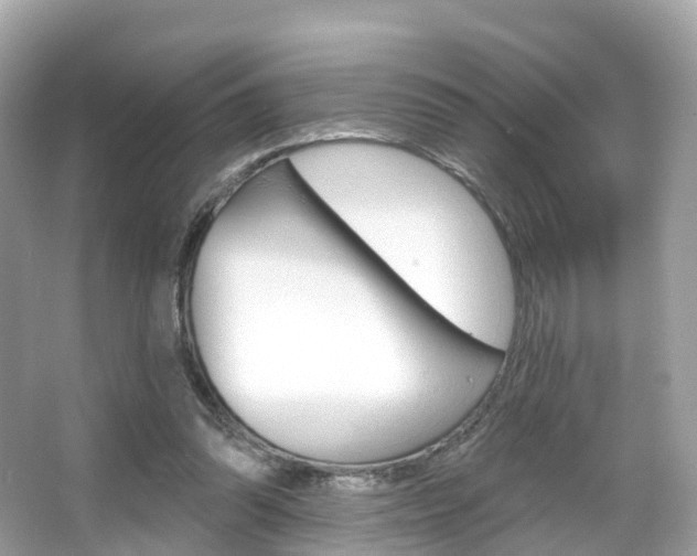 X0000066090302200603101010