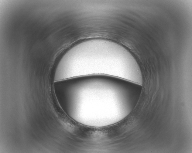 X0000066090303200603101010