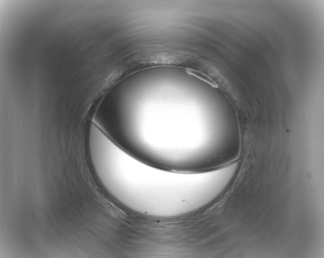 X0000066090305200603101010