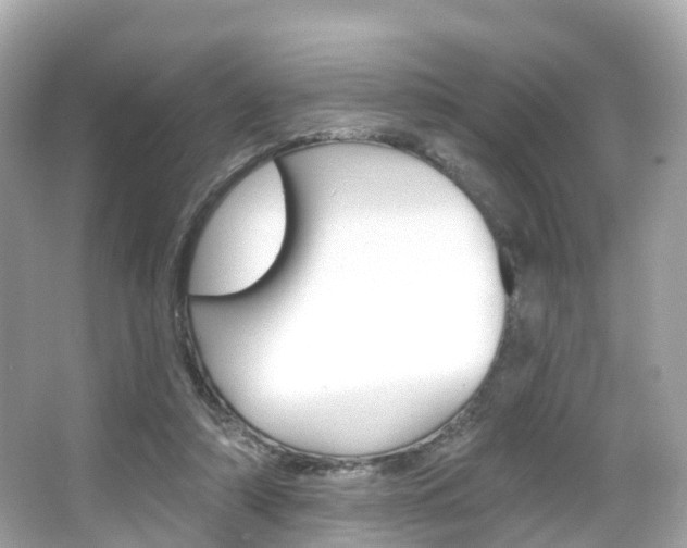 X0000066090306200603101010