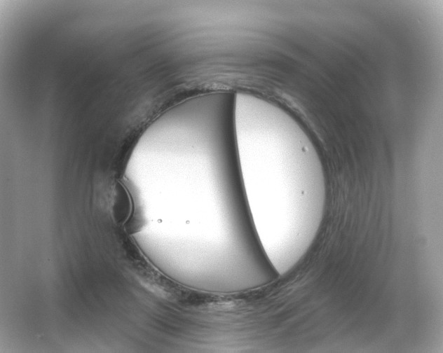 X0000066090307200603101010