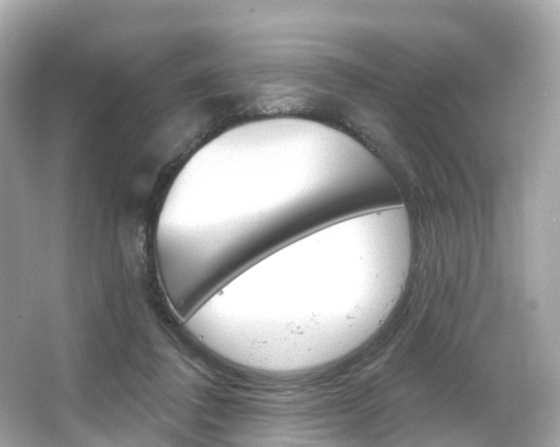 X0000066090308200603101010