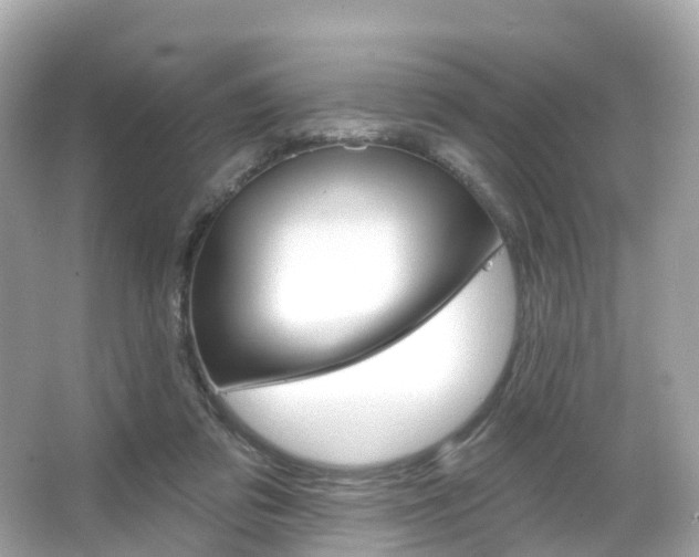 X0000066090309200603101010