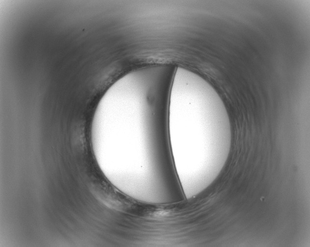 X0000066090312200603101010