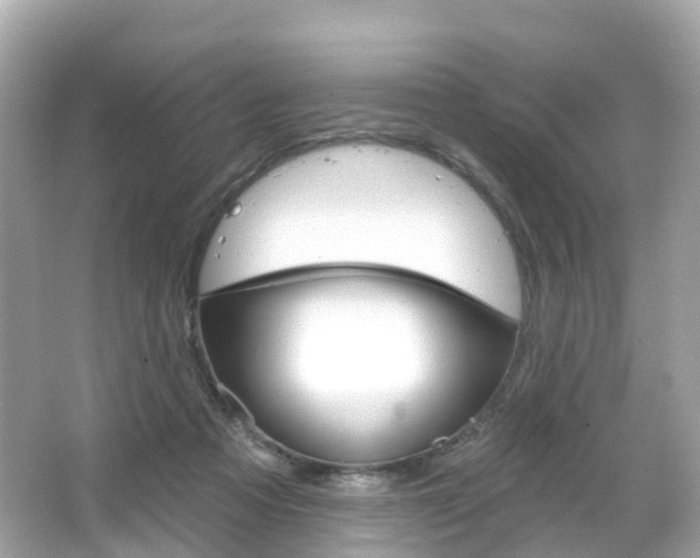 X0000066090313200603101010