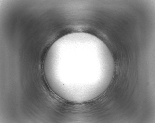 X0000066090314200603101010