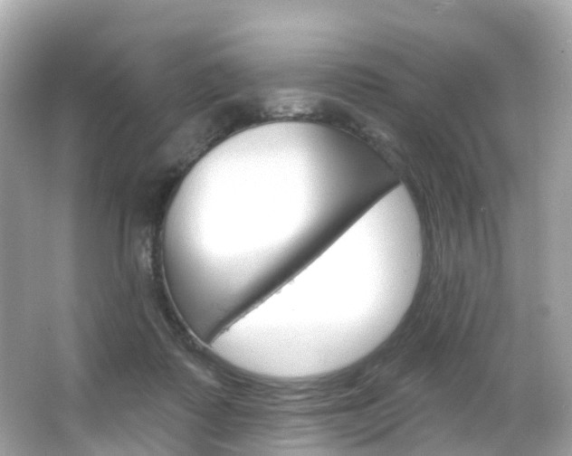 X0000066090315200603101010