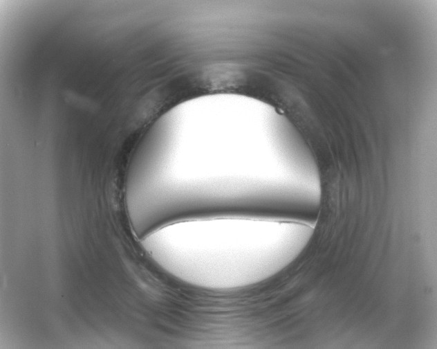 X0000066090316200603101010