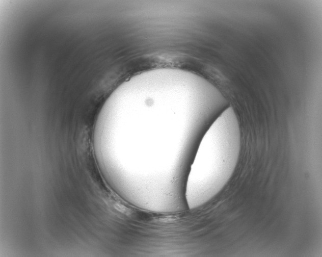 X0000066090318200603101010