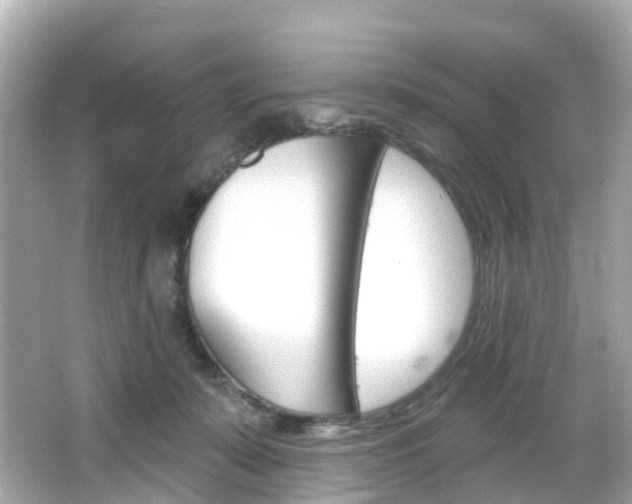 X0000066090319200603101010