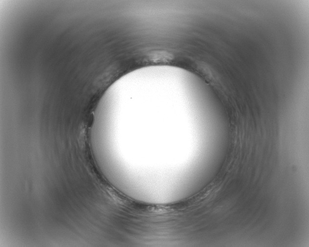 X0000066090321200603101010