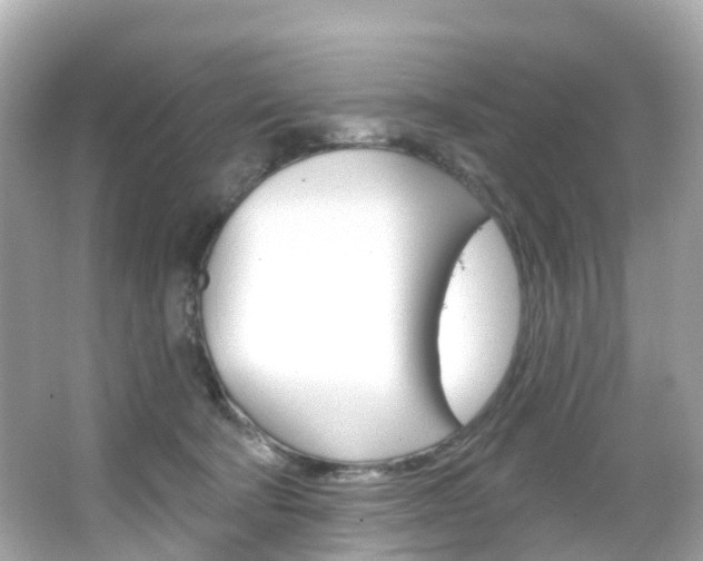 X0000066090322200603101010