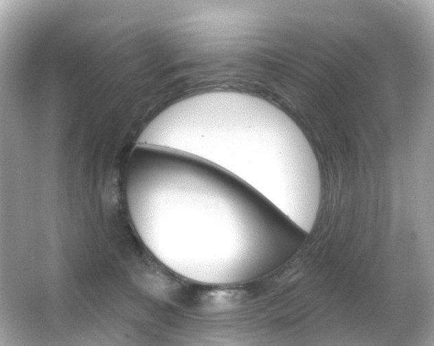 X0000066090323200603101009