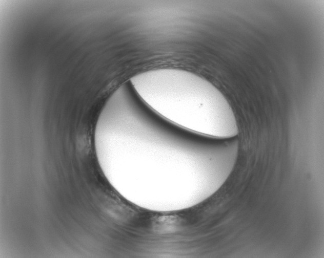 X0000066090324200603101009