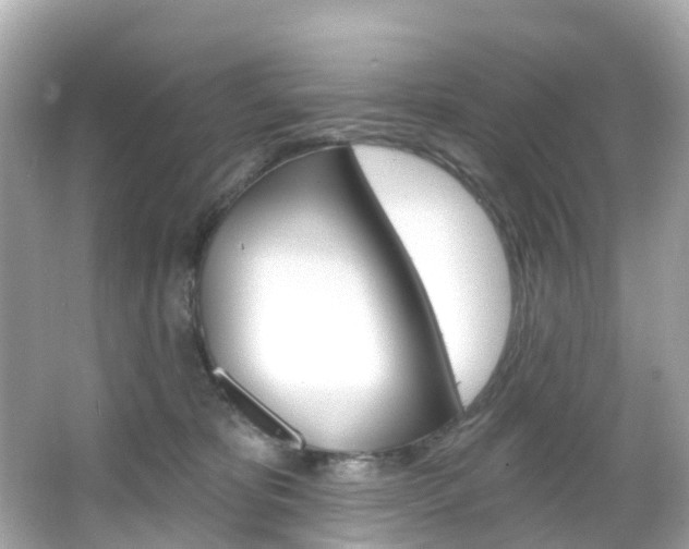 X0000066090325200603101009