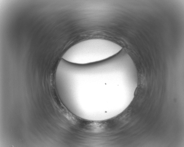 X0000066090326200603101009