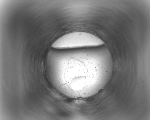 X0000066090327200603101009