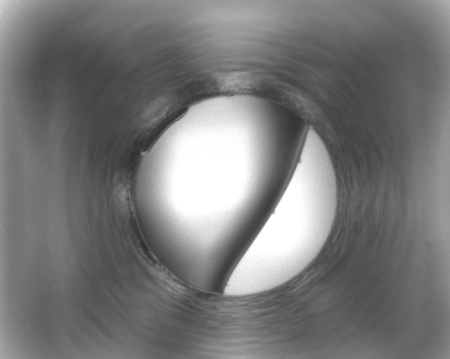 X0000066090329200603101009