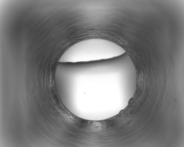 X0000066090330200603101009