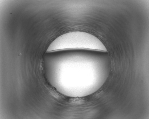 X0000066090331200603101009