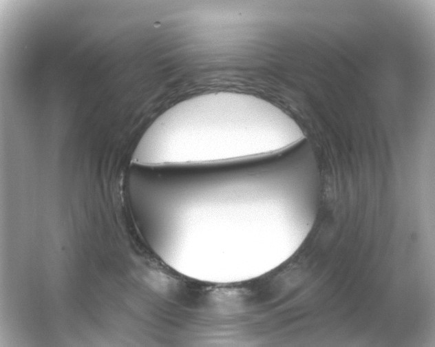 X0000066090332200603101009