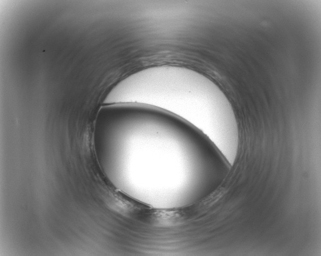 X0000066090333200603101009