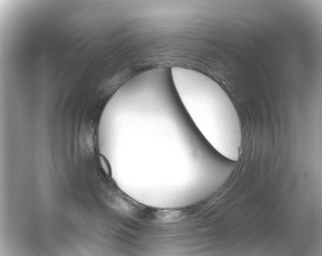 X0000066090334200603101009