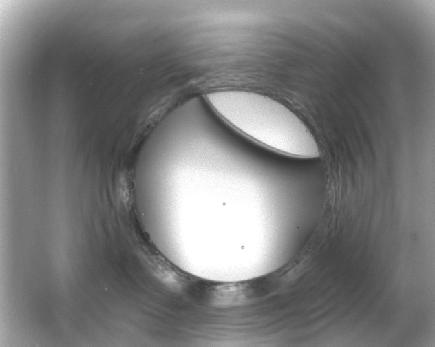 X0000066090335200603101009