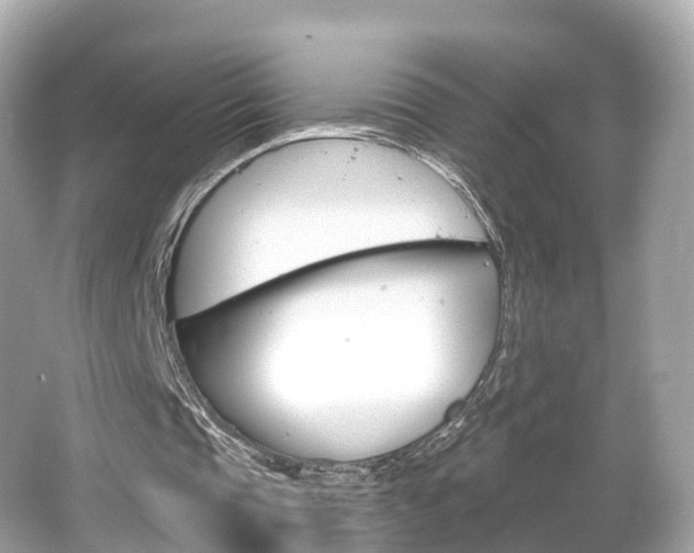 X0000066090337200603101008