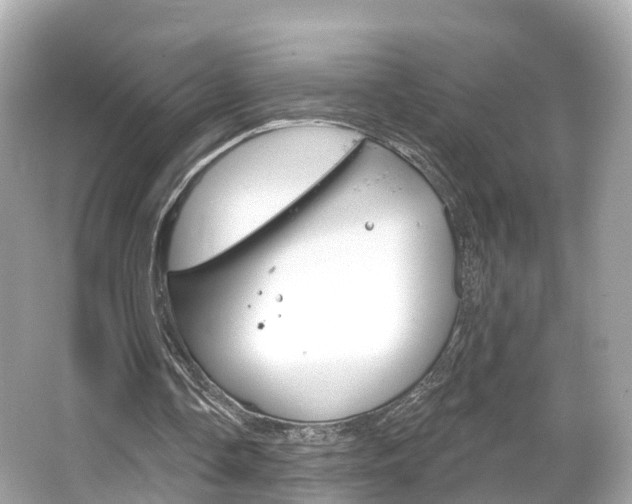 X0000066090338200603101008