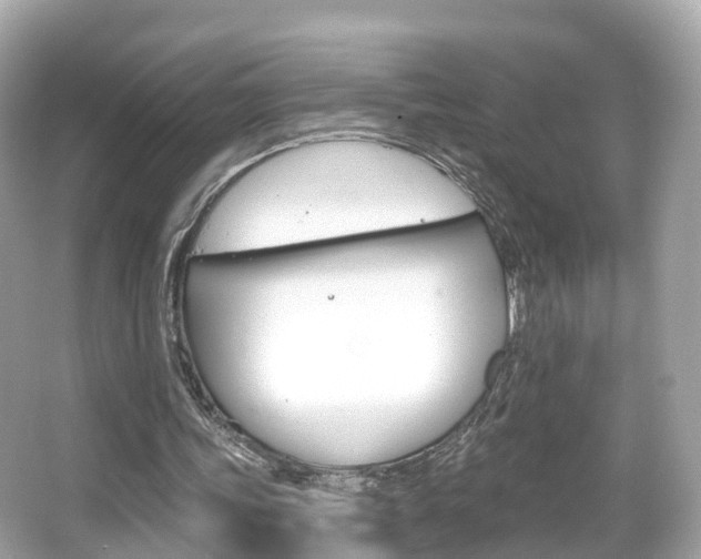 X0000066090339200603101009