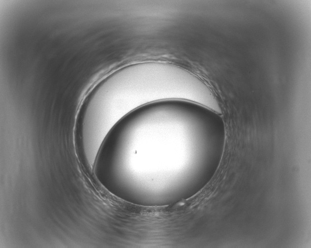 X0000066090340200603101009