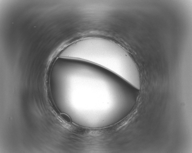 X0000066090341200603101009