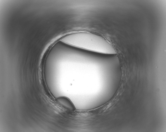 X0000066090342200603101009