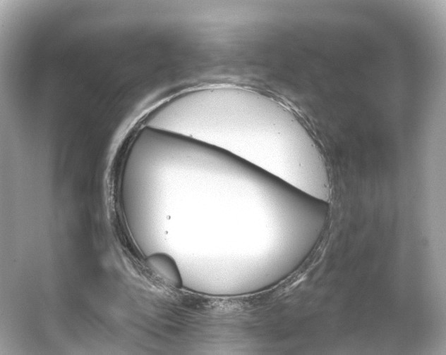 X0000066090343200603101009