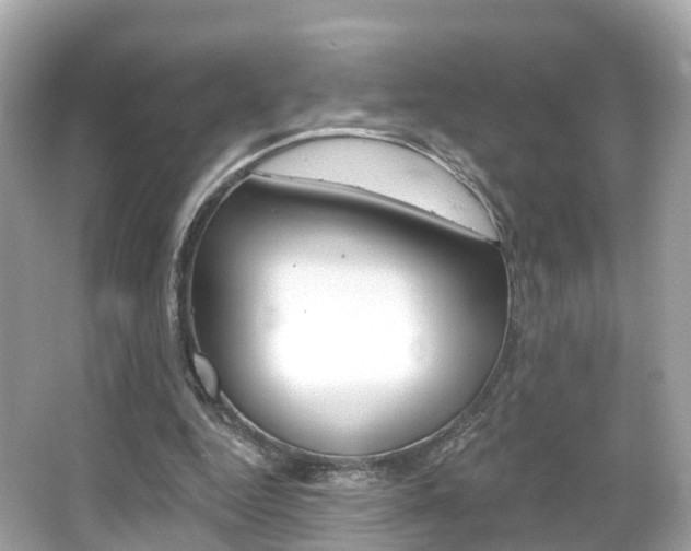 X0000066090344200603101009