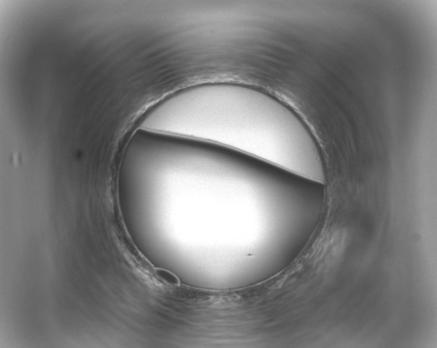 X0000066090345200603101009