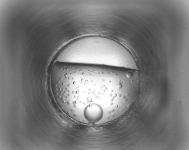 X0000066090346200603101009