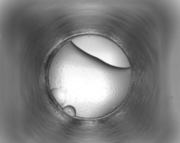 X0000066090347200603101009