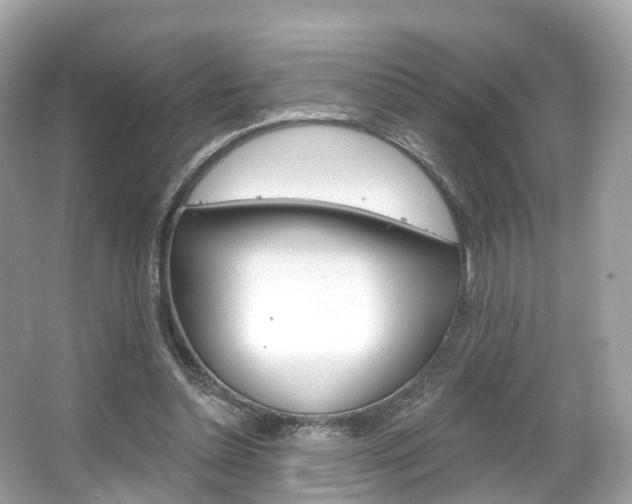 X0000066090348200603101009