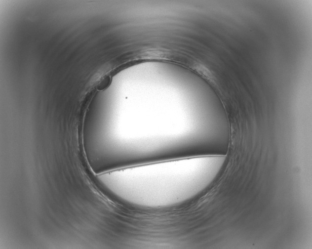 X0000066090349200603101009