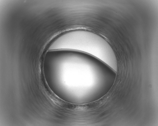 X0000066090350200603101009